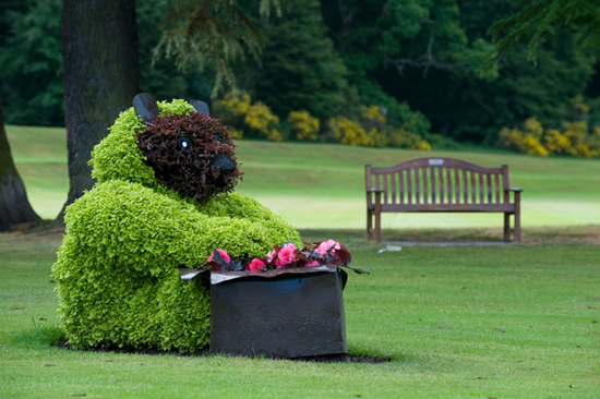 Bear topiary in Forres Park, Scotland